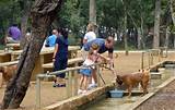 Images of San Antonio Dog Parks