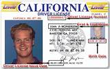 Photos of Lost My Drivers License Texas Online