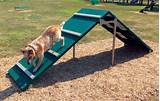 Dogs Playground Equipment Images
