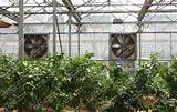 Images of Cooling Pad Greenhouse