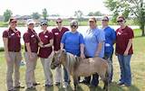 Lake Forest Vet Clinic Pictures