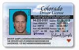 Pictures of Car Insurance Points On License
