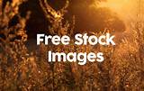 Best Royalty Free Images For Commercial Use Pictures