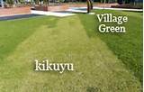 Images of Village Green Lawn Care