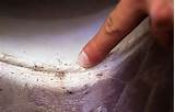 Kill Bed Bugs On Your Body Images