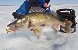 Ice Fishing Walleye Images