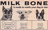 Milk Bone Commercial Dog Images