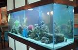 Pictures of Mahogany Fish Tank Stand