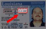 Renew Drivers License Ny Pictures