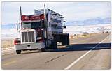 All Flatbed Trucking Companies Pictures