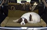 Pictures of Travel Beds For Dogs