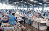 Best Fish Market Pictures