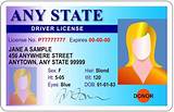 Buy Driver License Online Images