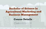 Bachelor Of Science In Business Management Photos