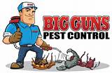 Pictures of Pest Control