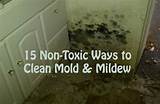 Mildew Home Remedies Photos