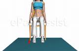 Tibialis Posterior Muscle Strengthening Exercises Images
