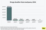 Marijuana Deaths Per Year Photos