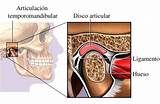 Pictures of Tmj Medical Term