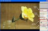 Nikon Camera Control Pro 2 Software Full Version Pictures