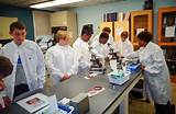 Medical Laboratory Training Program Images