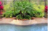 Photos of Landscaping Your Pool Area