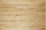 Birch Wood Plank Images