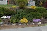 Front Yard Landscaping Ideas With Rocks Photos