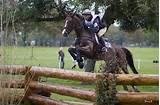 Images of Horse Jumping Fences For Sale