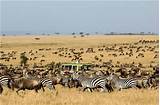 Best Safari Park In Kenya Pictures