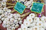 Growing Garlic For Profit Book Photos
