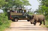 Africa Safari Adventure Park Images