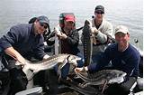 Columbia River Sturgeon Fishing Photos