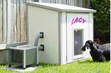 Photos of Portable Air Conditioned Dog Kennel