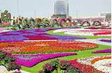 Garden Designer Dubai Images