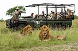 Safari Kruger National Park Images