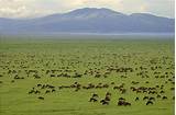 Tanzania Beach And Safari Packages Pictures