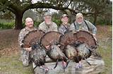 Osceola Turkey Outfitters Pictures