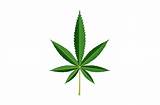 Marijuana Emoji Pictures