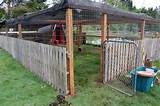 Photos of Chicken Coop Wire Fence
