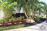 Pictures of Tropical Front Yard Landscaping Ideas