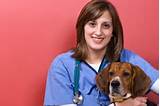 Animal Assisted Therapy Jobs