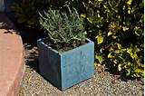 Photos of Cement Flower Boxes
