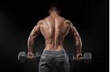 Back Training Bodybuilding