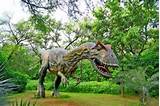 Pictures of Dinosaur Fossil In India
