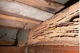 Sheetrock Termite Damage Photos