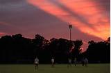 Last Night S Soccer Game Images