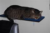Diy Cat Window Shelf Images