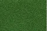 Pictures of Grass Carpet