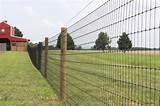 Types Of Farm Fencing Styles Photos